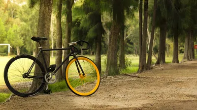 How To Convert a Single-Speed Bike to a Fixed Gear