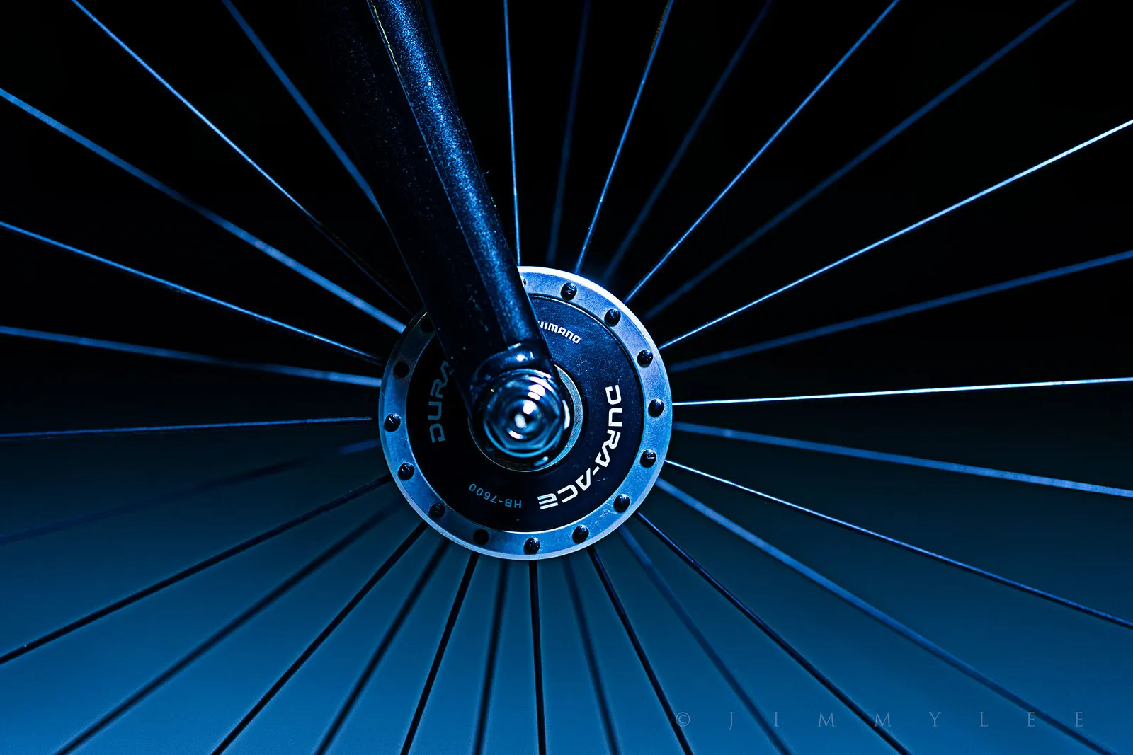 Directional tread on a bicycle tire