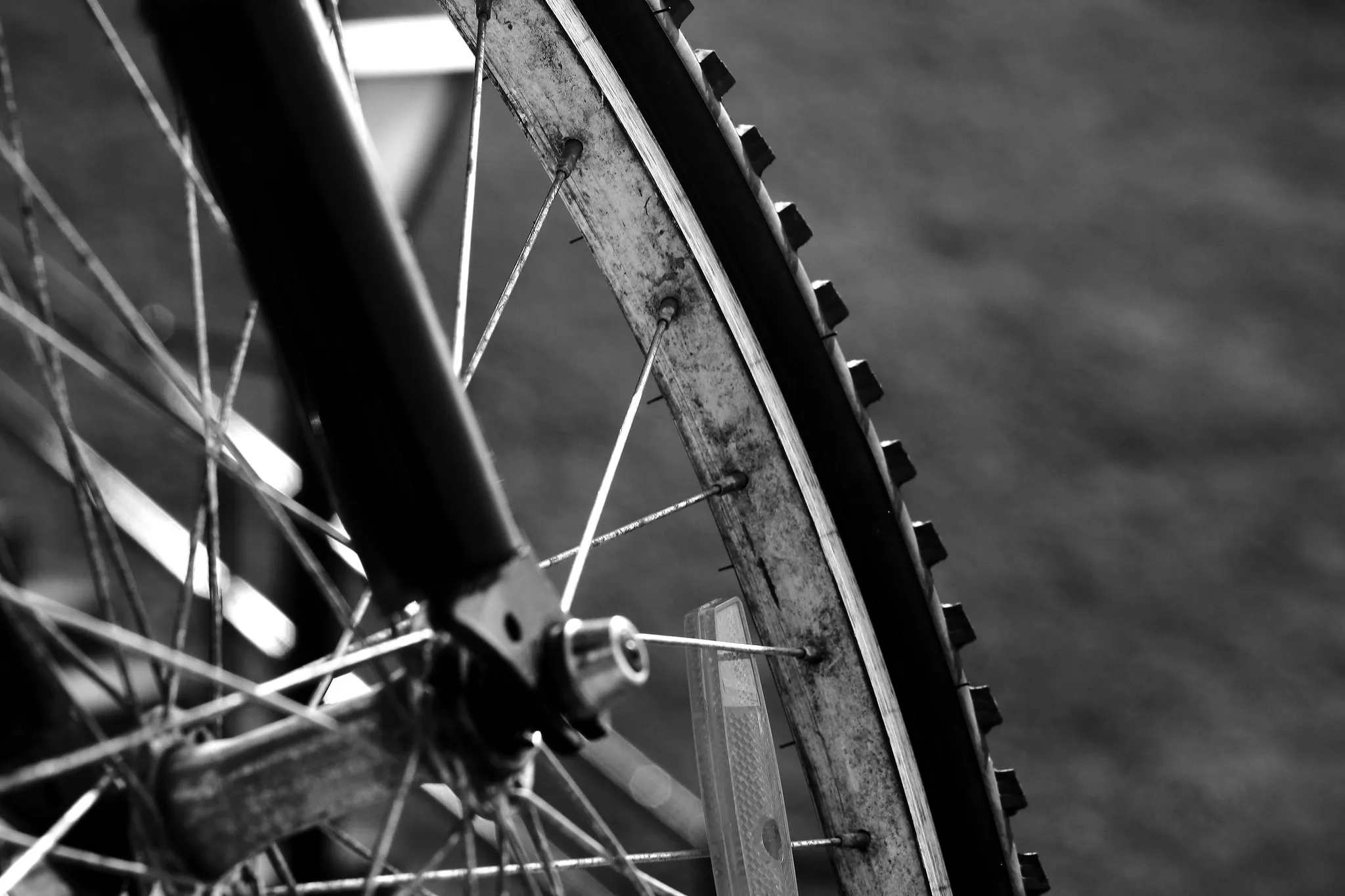 Clean bicycle tires and rims