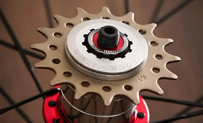 Single-speed bicycle drivetrain with one rear cog.
