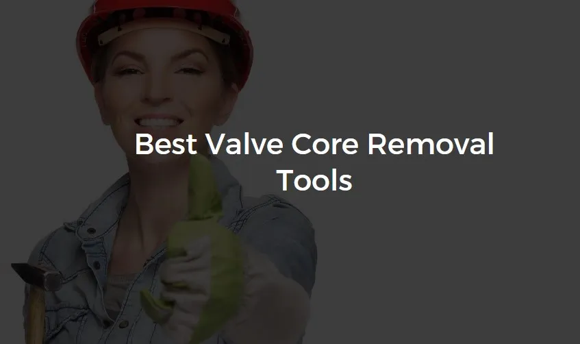 Small tools for removable bicycle valve cores