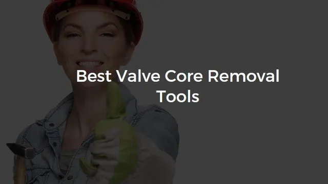Best Valve Core Removal Tools for Bikes