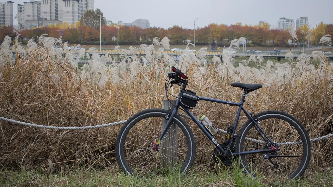 Hybrid bicycle with a front suspension fork