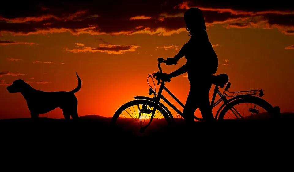 Mountain biker riding a forest trail