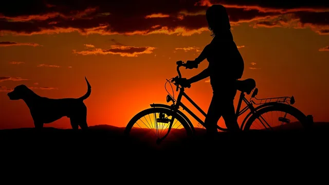 Top 8 Benefits of Mountain Biking- That Really Work