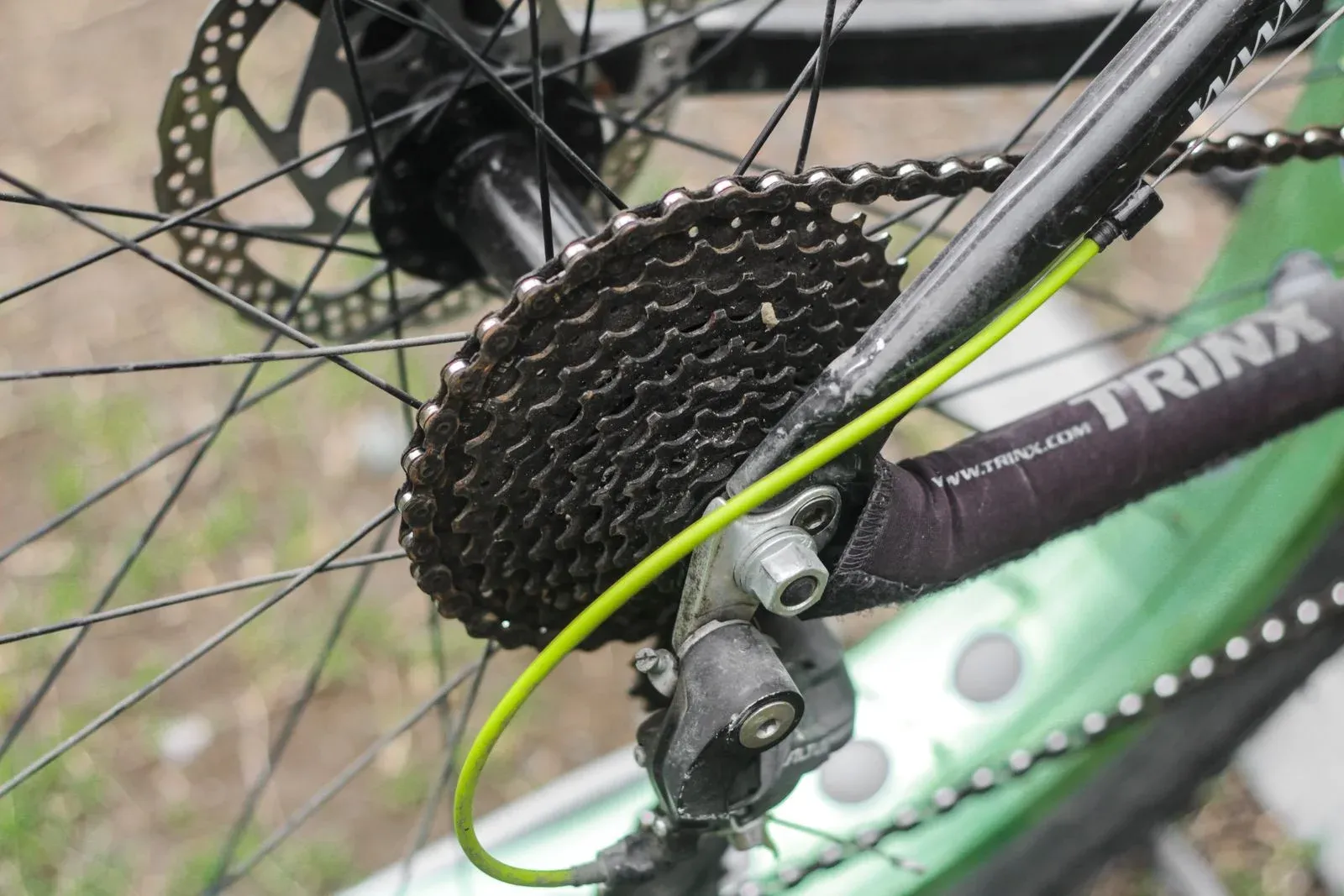 Bicycle rear wheel, drivetrain and disc brake
