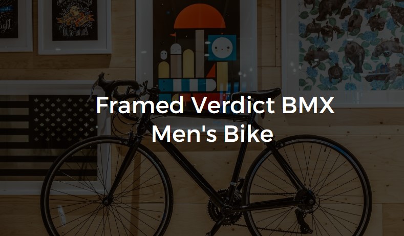 verdict bmx bike