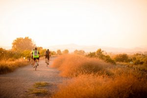 best mountain bike for under 600