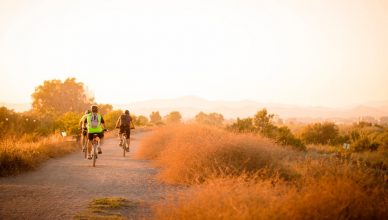 best mountain bikes under 600