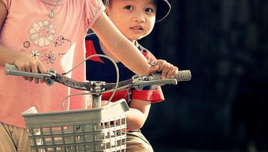 How To Choose Bike Basket Efficiently