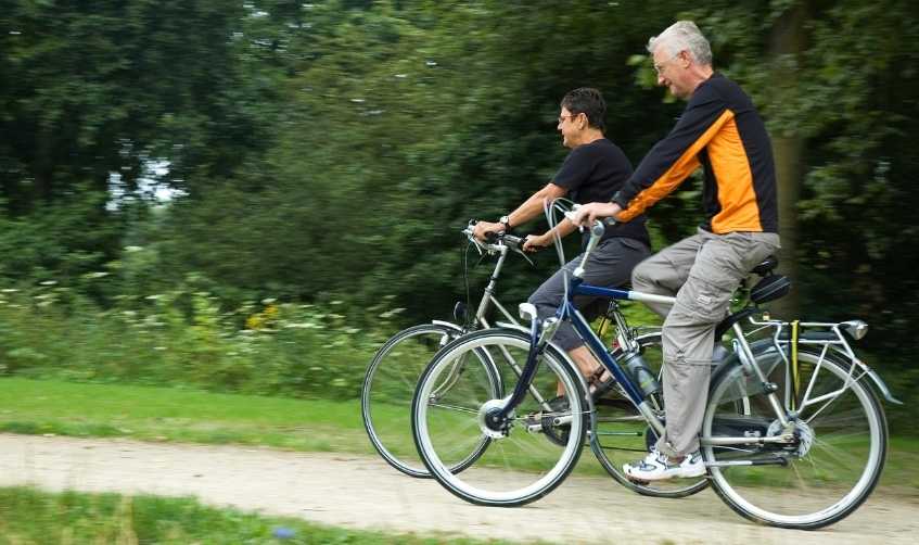 Top Hybrid Bikes For Seniors To Buy In 2022 Top 7 Picks